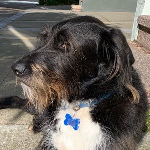 Meet your Posher, Max